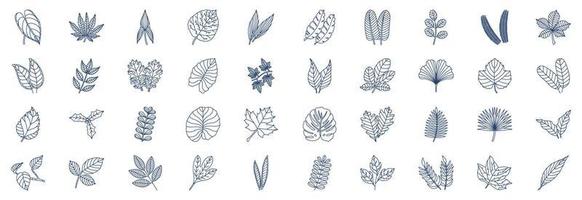 Collection of icons related to Leaves, including icons like Anthurium, Aralia, Aspidistra, Chestnut, Citrus and more. vector illustrations, Pixel Perfect set