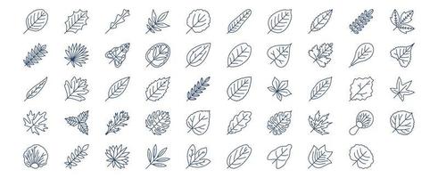 Collection of icons related to Leaf, including icons like Alder, Arugula, Aspen, Ash, Banana and more. vector illustrations, Pixel Perfect set