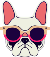 gráfico ilustrativo de colorido bulldog francés con gafas de sol aislado bueno para logotipo, icono, mascota, imprimir o personalizar su diseño png