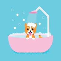 Dog grooming bath, great design for any purposes. Beauty concept. Adorable pet. Pet wash, groomin vector