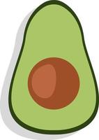 Avocado in half, illustration, vector, on a white background. vector