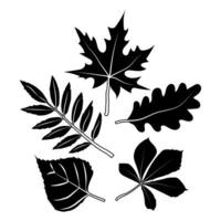 Set of silhouettes of autumn leaves, drawn in a doodle style. Thin veins on leaves. Simple vector isolated on white background
