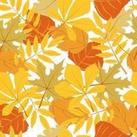 A seamless pattern of autumn leaves, hand-drawn doodle-style elements. Bright maple, oak, and aspen leaves. A carpet of autumn leaves. Thanksgiving. Back to school for the kids. Halloween. Autumn vector