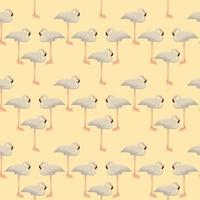 Albino flamingo, illustration, vector on white background