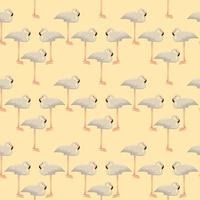 Albino flamingo, illustration, vector on white background