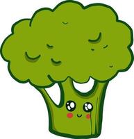 Cute broccoli, illustration, vector on a white background.