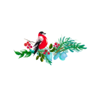 Winter Christmas bird with branches and berry. png