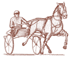 courses attelées de chevaux et de jockeys png