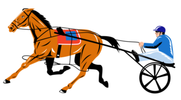 horse and jockey harness racing png