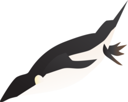 Penguin Bird Illustration png