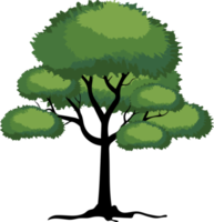 Organic Tree Illustration png