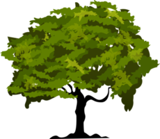 ilustração de árvore orgânica png