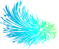 graphique de plumes colorées png