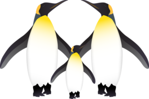 ilustración de pájaro pingüino png