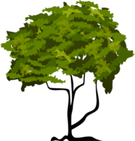 ilustración de árbol orgánico png