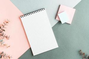 Blank notepad, writing paper and eucalyptus branches on a colored background. Top view. photo