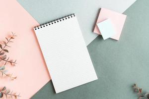 Blank notepad, writing paper and eucalyptus branches on a colored background. Top view. photo