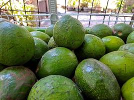 manojo de aguacates verdes en el mercado local de frutas. fruta fresca sana y deliciosa. esta fruta se usa a menudo en jugos foto
