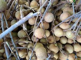 Longan, Dimocarpus longan, fruit from Asia, the same family of lychee. This fruit is often found in traditional and modern fruit markets photo