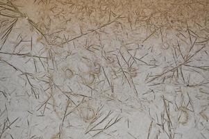Clay brown wet ground with small cracks and patterns. Texture, background photo
