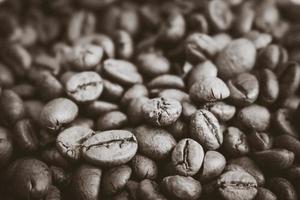 Beautiful texture of freshly roasted selected delicious rich brown natural fragrant coffee tree grains, Arabica coffee beans, Robusta. Copy space, background photo