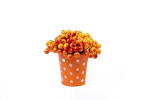 aluminum ice bucket laid in wait for use. stainless multi-colored bucket with red viburnum rowan photo