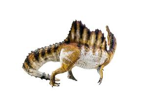 dinosaur , spinosaurus isolated background clipping path photo