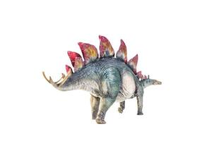 dinosaurio, estegosaurio fondo aislado foto