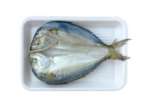 Two mackerel on white photo