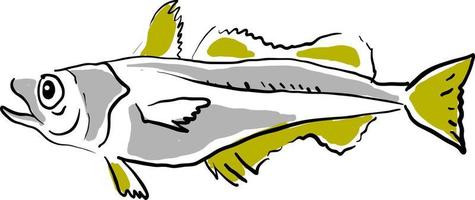 Hake drawing, illustration, vector on white background.