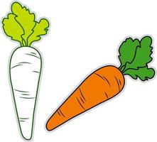 Fresh carrot, illustration, vector on white background.