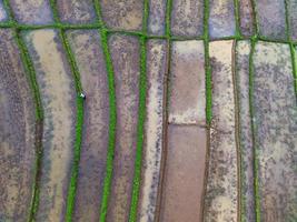 abstract lined farm path from aerial photography photo