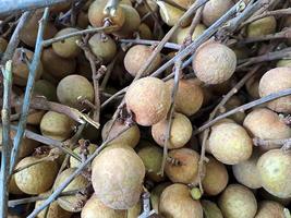 Longan, Dimocarpus longan, fruit from Asia, the same family of lychee. This fruit is often found in traditional and modern fruit markets photo