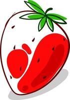 Drawing strawberry, illustration, vector on white background