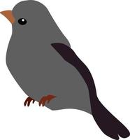 Grey bird, illustration, vector on white background.