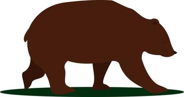 Big bear, illustration, vector on white background.