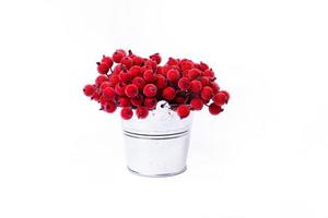 aluminum ice bucket laid in wait for use. stainless multi-colored bucket with red apples with white green blue berries in ice photo