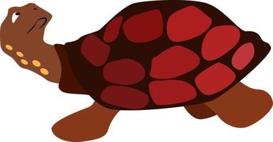 Red turtle, illustration, vector on white background.