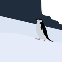 Penguin in snow, illustration, vector on white background.