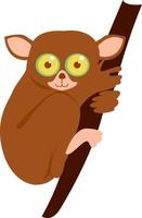 Tarsier, illustration, vector on white background.