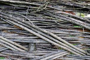 fence made of tree branches boards photo