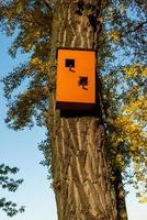 Birdhouse on tree at springtime. Branch of fruit tree with bird house. photo