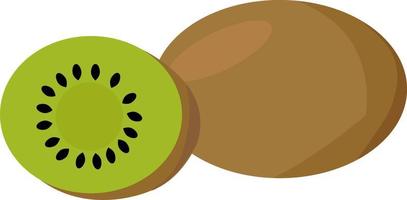 kiwi, ilustración, vector sobre fondo blanco.