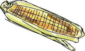 Corn drawing, illustration, vector on white background.