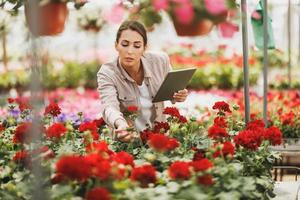 mujer con tableta digital que se preocupa por las flores en el centro de jardinería foto