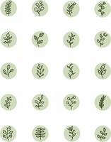 Decorative leaves on a branch, illustration, vector on a white background