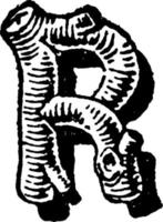 Letter R, vintage illustration vector