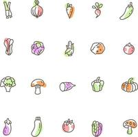 Fresh vegetables, illustration, vector, on a white background. vector