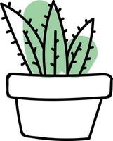 Three long cactuses in a pot, illustration, vector on white background.