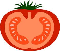 medio tomate, ilustración, vector sobre fondo blanco.